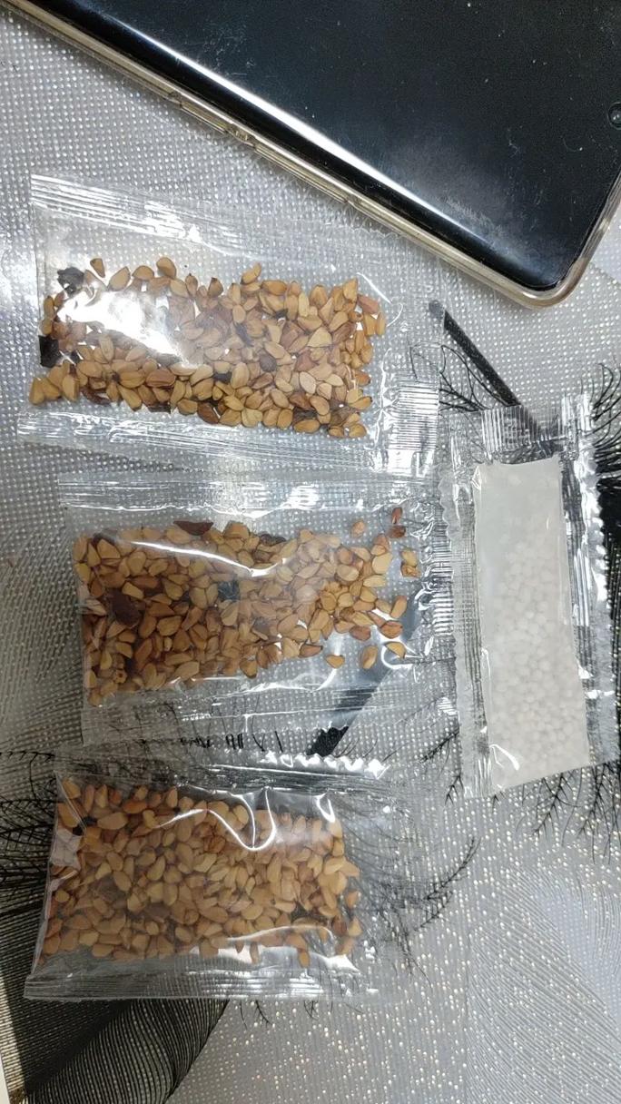 强烈推荐,已收到,期待花开的时候#我在抖音买买买